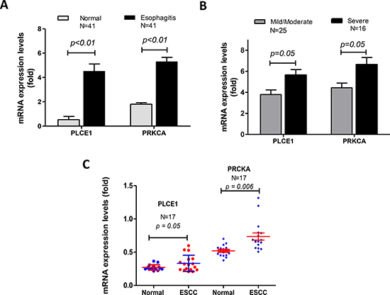 Figure 1: mRNA levels of PLCE1 and PRKCA were significantly increased in esophagitis and esophageal squamous cell carcinoma (ESCC).