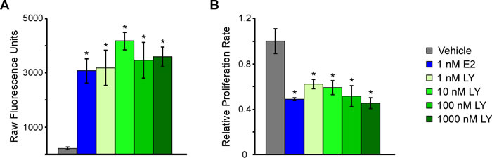 Figure 1: Estrogen, and the ER&beta;-agonist, LY500307, activate ER? transcriptional activity and decrease cell proliferation in TNBC cells.