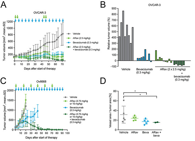 Figure 7: Antitumor efficacy of anetumab ravtansine in combination with bevacizumab in human ovarian cancer xenograft models in mice.