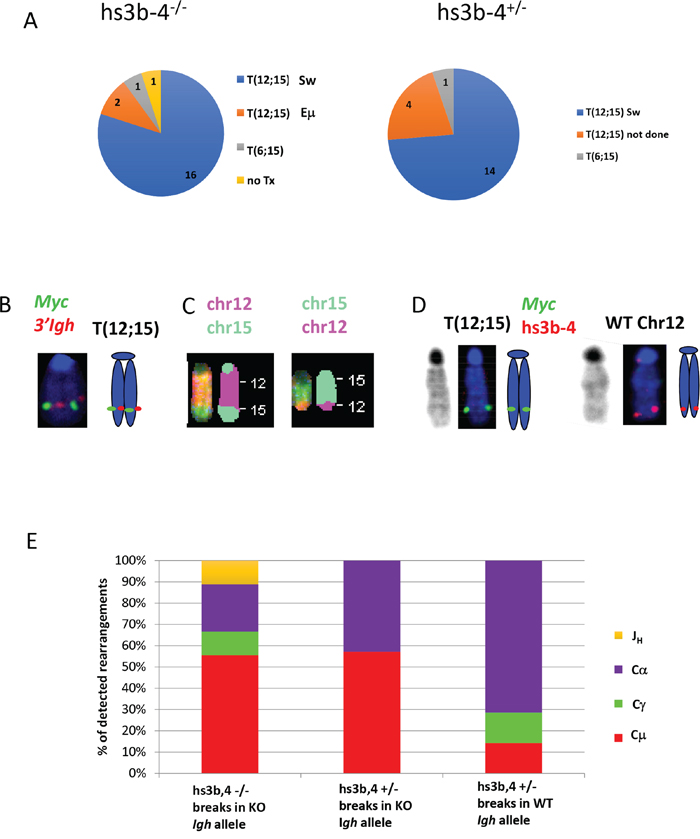 Figure 2: In mouse PCTs, deletion of hs3b-4 does not affect the pattern of chromosomal translocations but significantly increases targeting of S&mu; for T(12;15). (A)