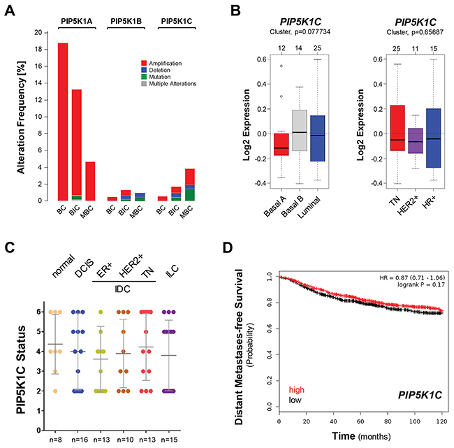 Figure 1: The expression of PIP5K1C is not predictive for breast cancer survival or subtype.