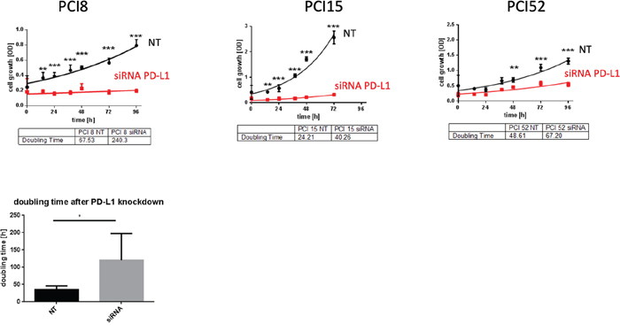 Figure 5: PD-L1 function in RR cell lines. (A)