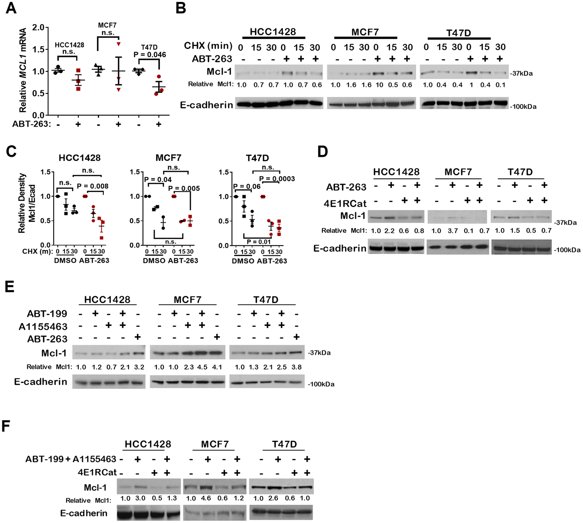 Figure 1: Pharmacological inhibition of Bcl-2 and/or Bcl-xL increases Mcl-1 expression through cap-dependent translation. (A)