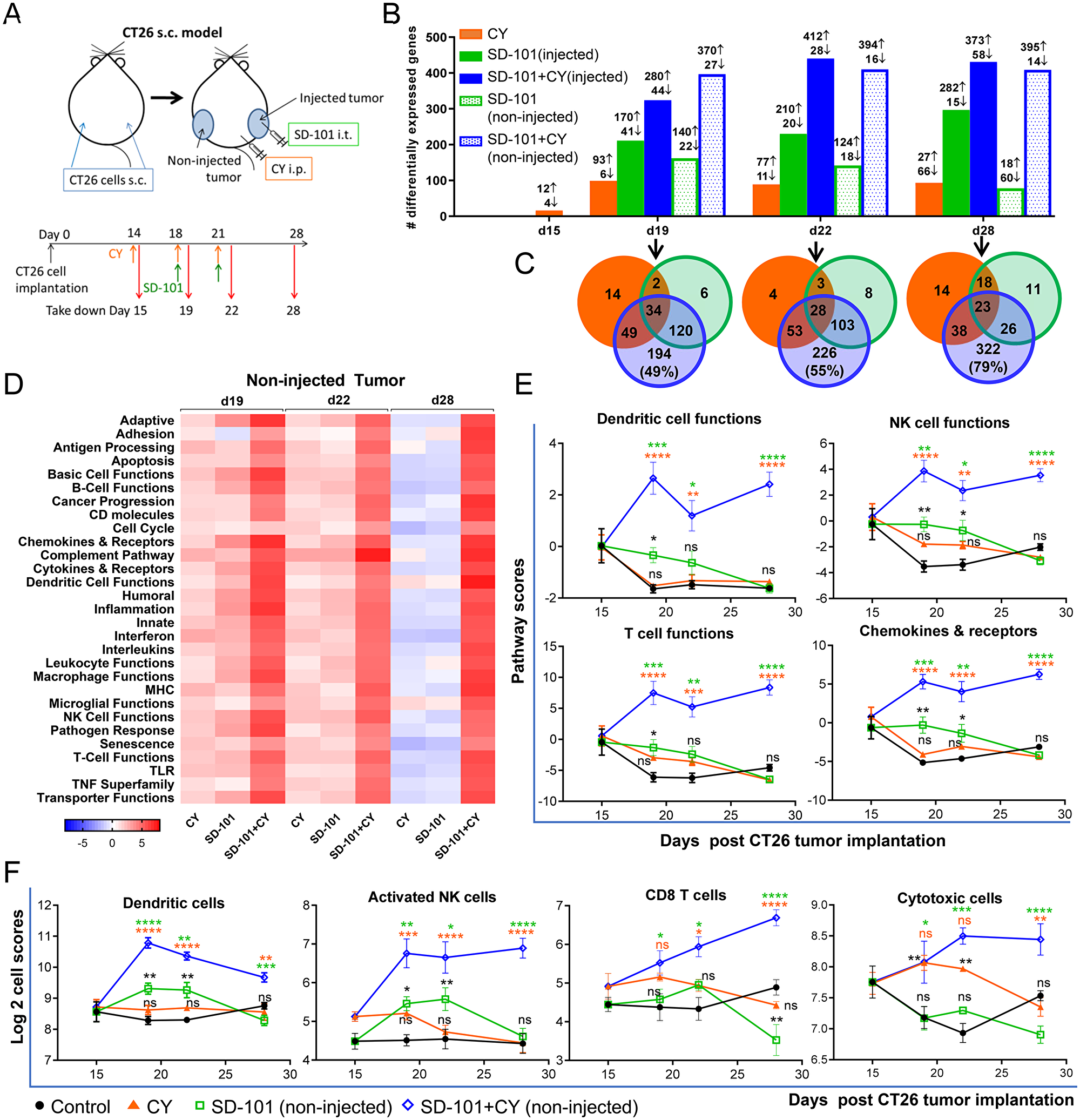 Figure 4: Gene expression changes to the TME demonstrate sequential development of innate and adaptive immune responses. (A)