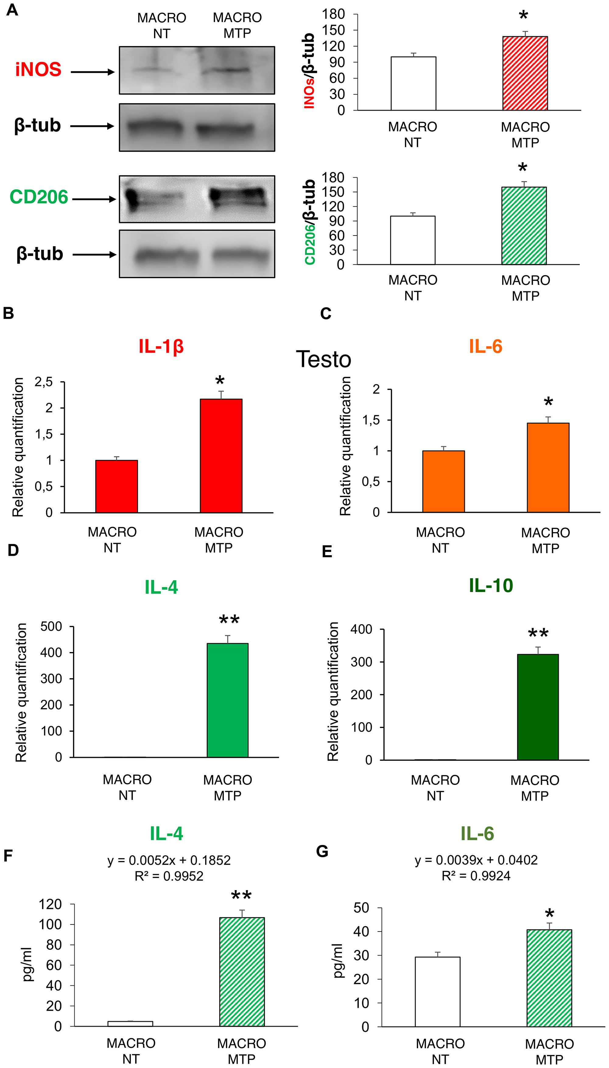 Figure 1: Effects of Mifamurtide (MTP) on macrophage polarization.