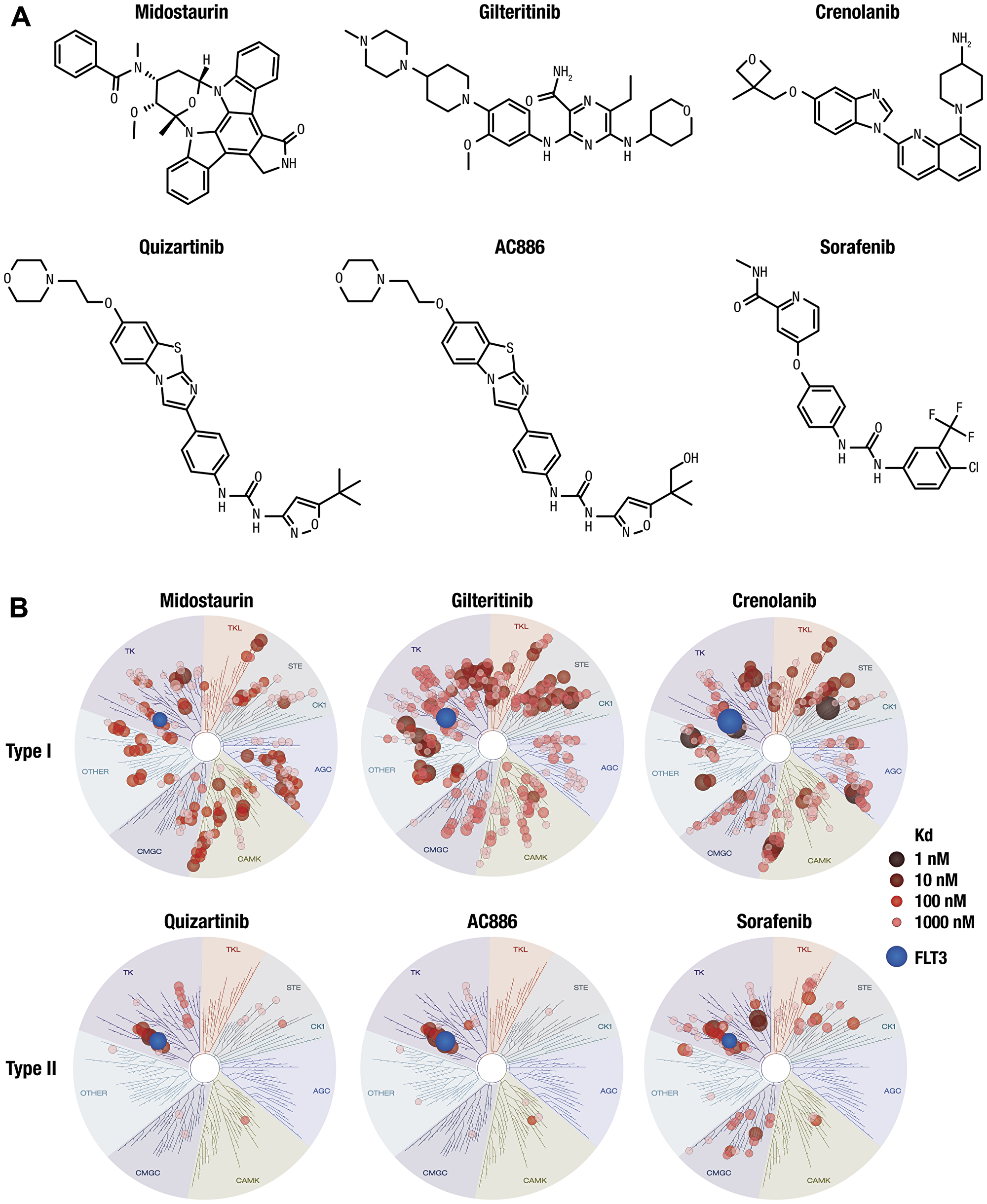 Figure 1: Chemical structure and kinase selectivity profiling of quizartinib, AC886, and other FLT3 inhibitors.