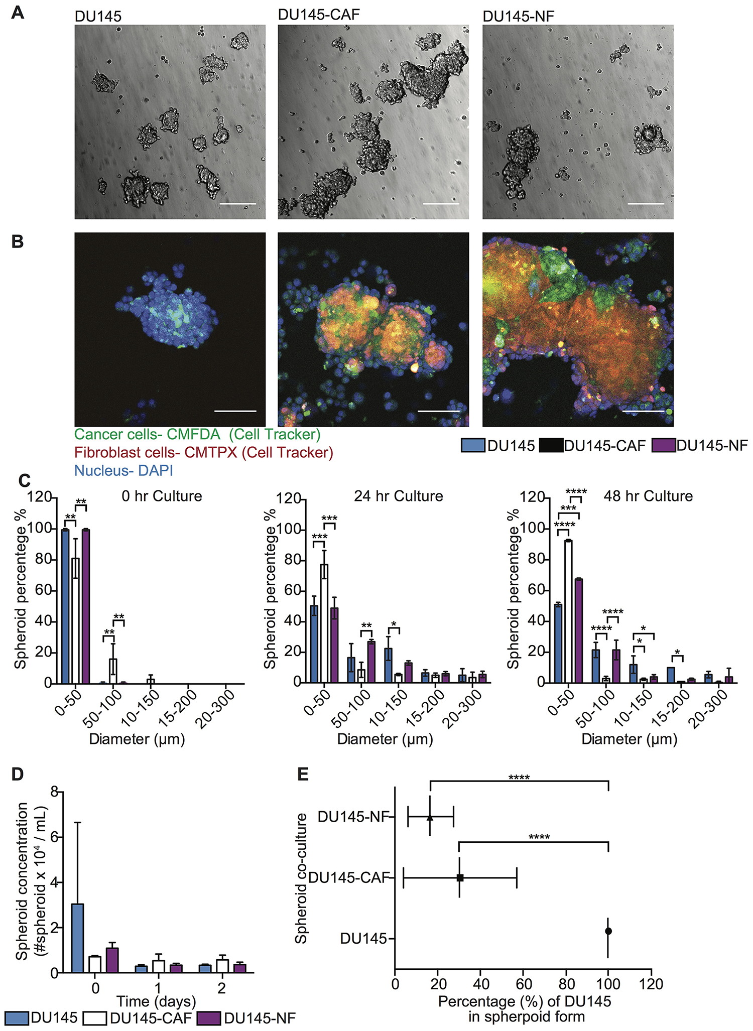 Figure 1: Characterization of DU145 and stromal cell co-culture in spheroid growth and composition.