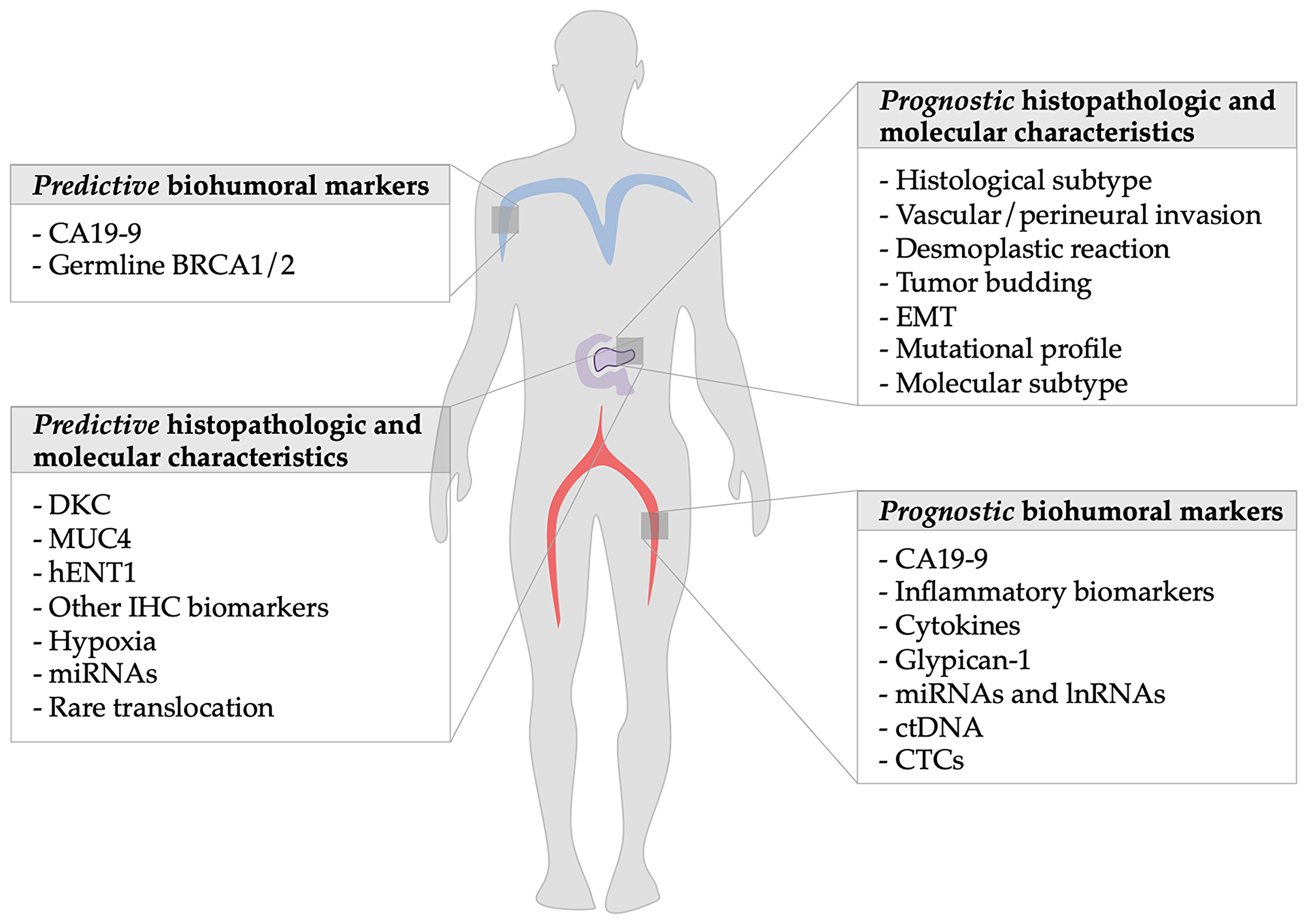 Figure 1: Summary of prognostic factors of metastatic pancreatic ductal adenocarcinoma: The figure shows on the left side the predictive markers discussed in the article and on the right the prognostic ones.