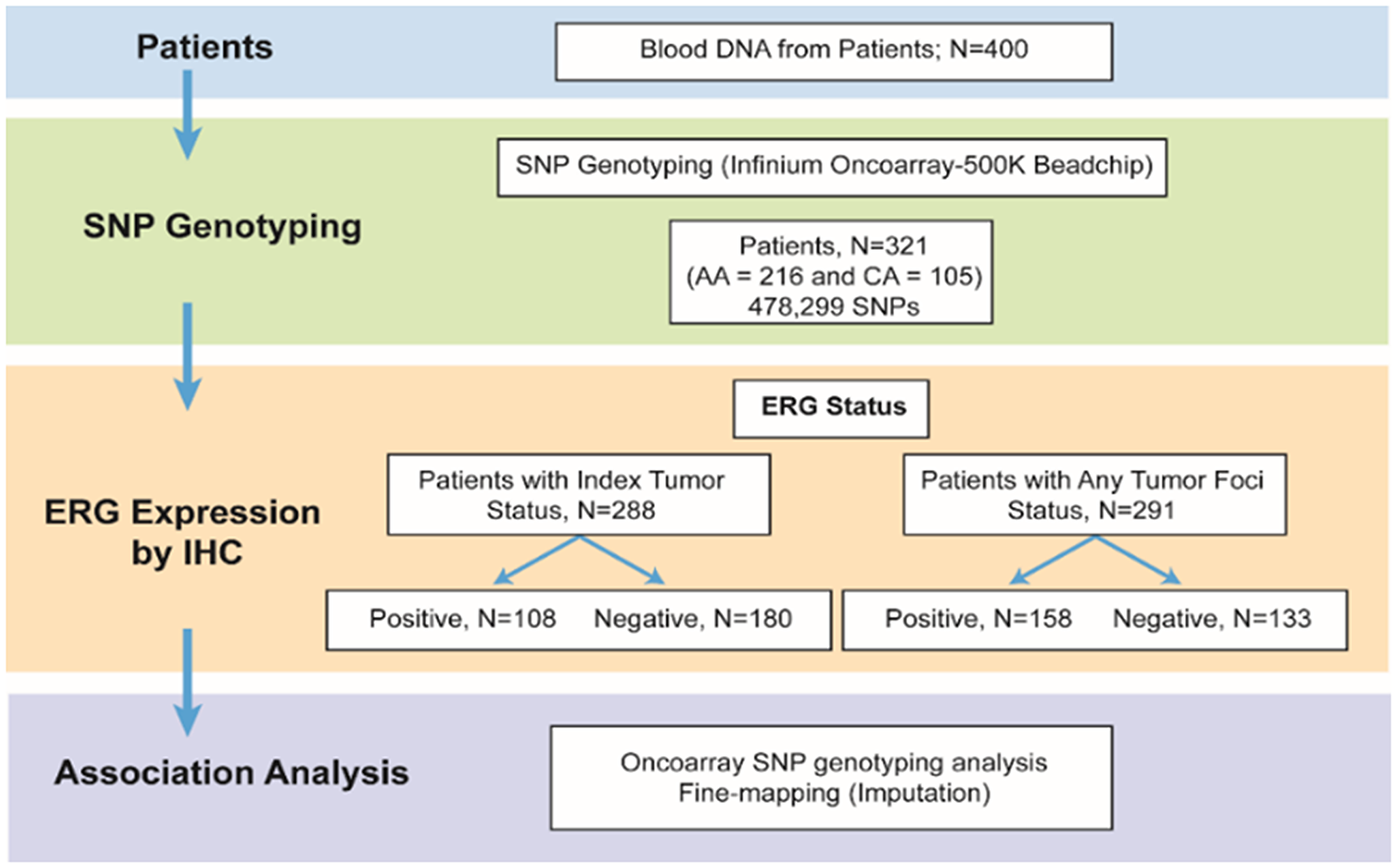 Figure 1: Schematic representation of the study.