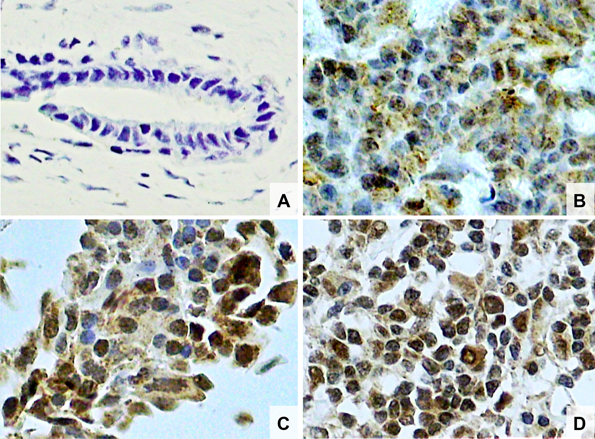 Figure 1: