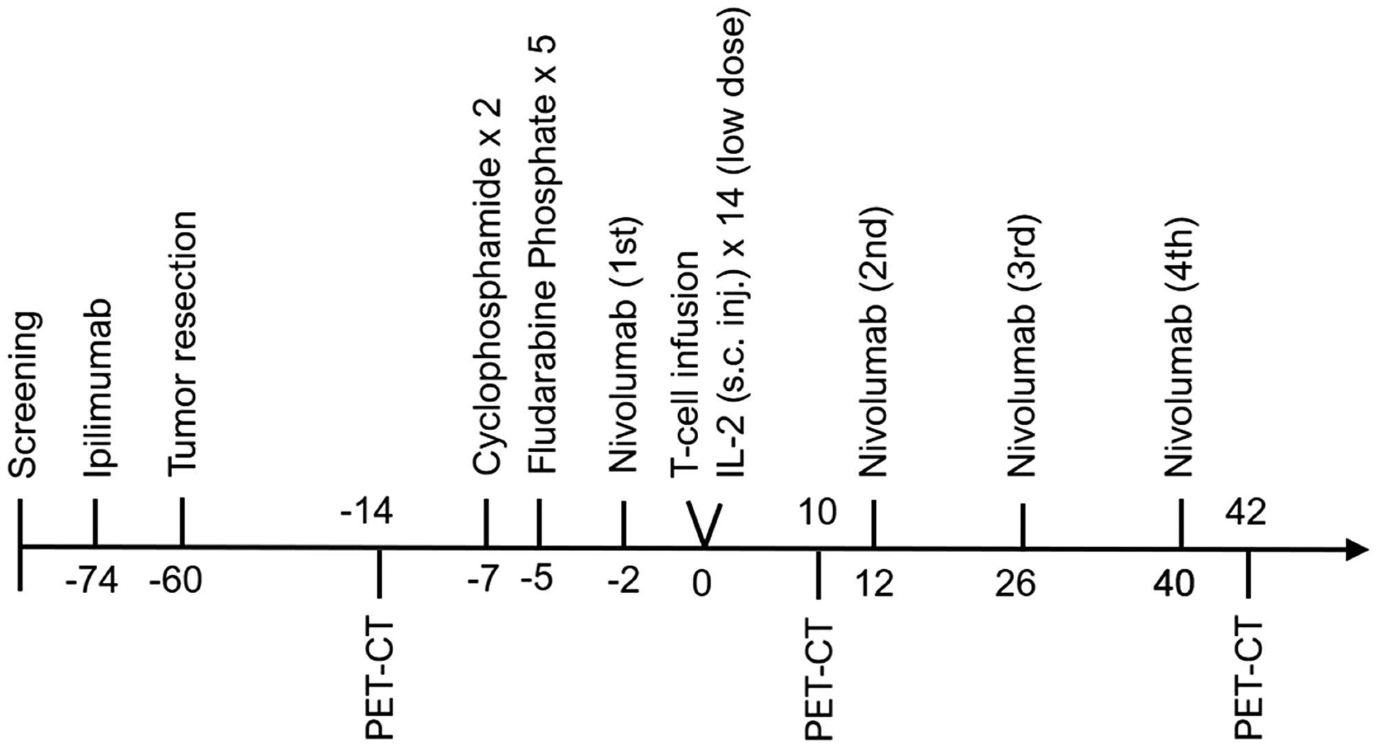 Figure 6: Therapy regimen.