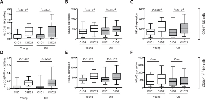 Figure 1: Induction and activation of NK cells in patients below and above 60 years of age.